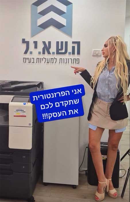 ליז לוי